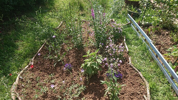 Growreport Bild 9