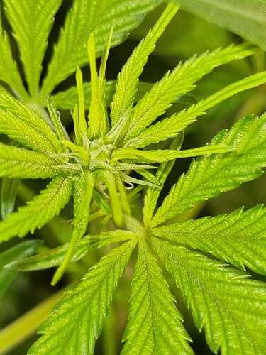 WhatsApp Image 2024-06-18 at 00.30.25(1)