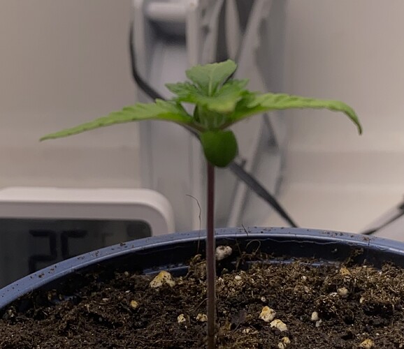 Growreport Bild 16