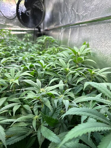 Growreport Bild 4