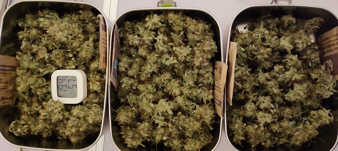 Growreport Bild 2