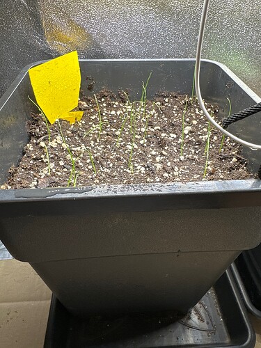 Growreport Bild 21