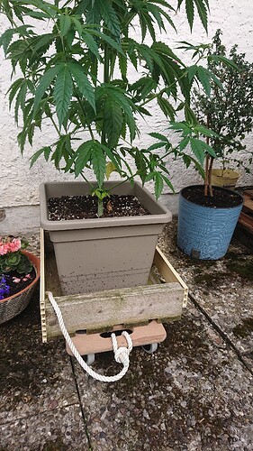 Growreport Bild 2