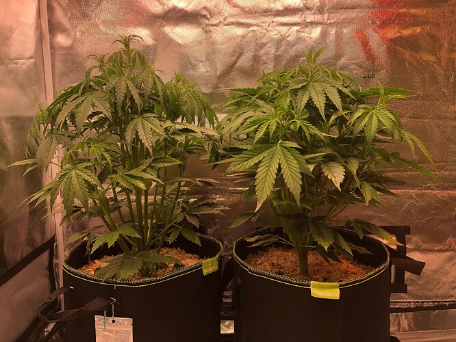 Growreport Bild 20