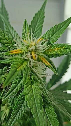 Growreport Bild 10