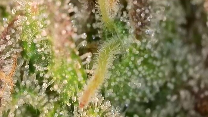 Growreport Bild 11