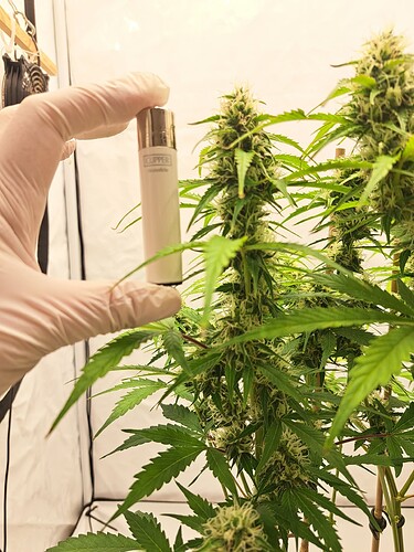 Growreport Bild 47