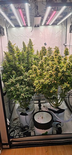Growreport Bild 2