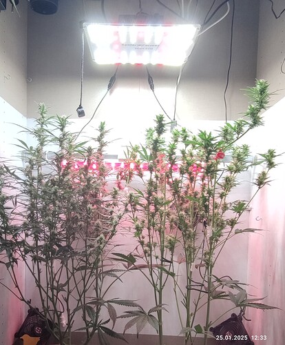 Growreport Bild 12