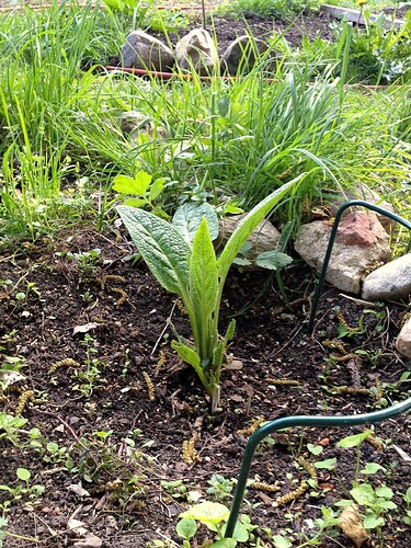 Growreport Bild 14
