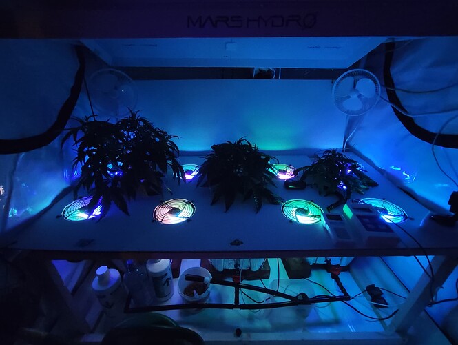 Growreport Bild 5