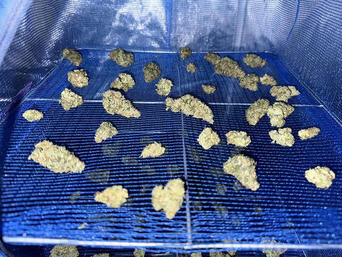 Growreport Bild 43