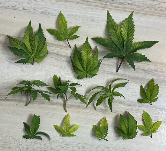 Growreport Bild 18