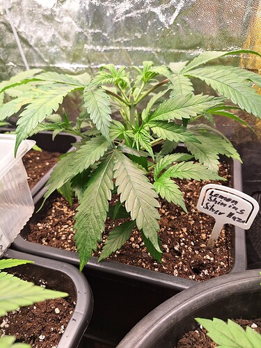 Growreport Bild 10