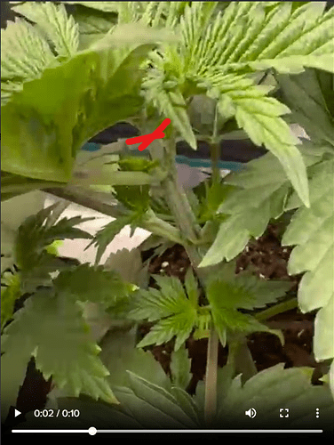 Screenshot 2024-04-14 212756