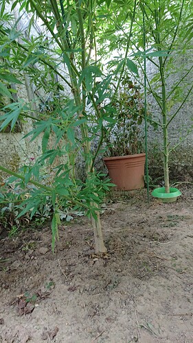 Growreport Bild 12