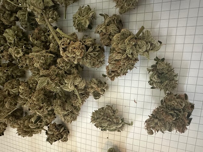 Growreport Bild 6