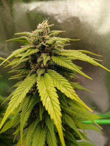 Growreport Bild 14