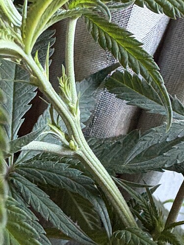 Growreport Bild 5