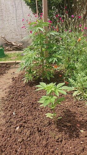 Growreport Bild 13