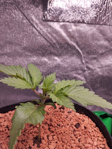 IMG_20241130_154833 - Kopie