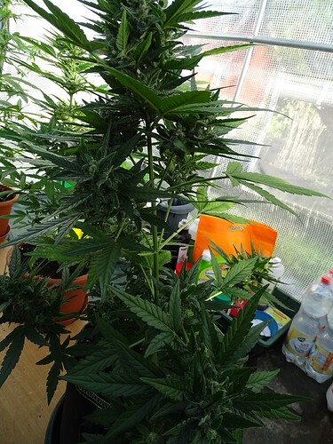 Growreport Bild 26