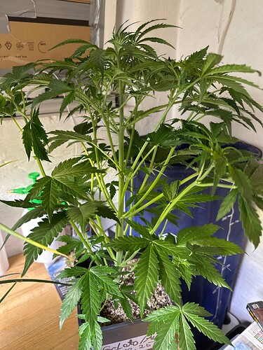 Growreport Bild 30