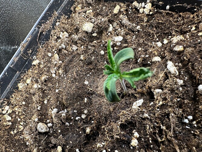 Growreport Bild 23