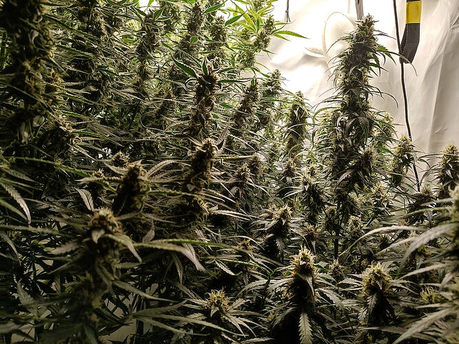 Growreport Bild 10