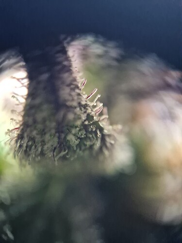 Growreport Bild 39