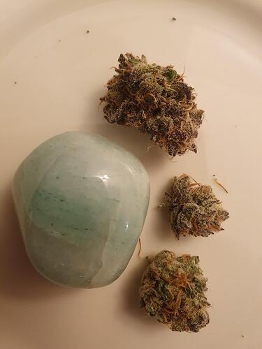 Growreport Bild 36