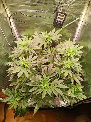 Growreport Bild 2