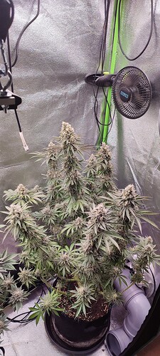 Growreport Bild 2