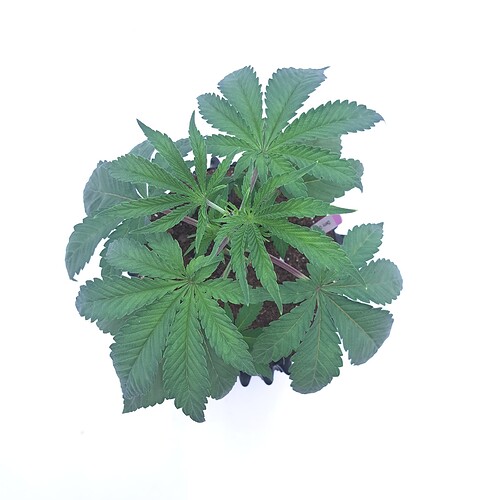 Growreport Bild 10