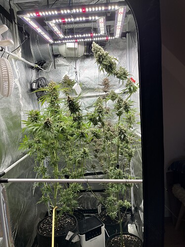 Growreport Bild 1