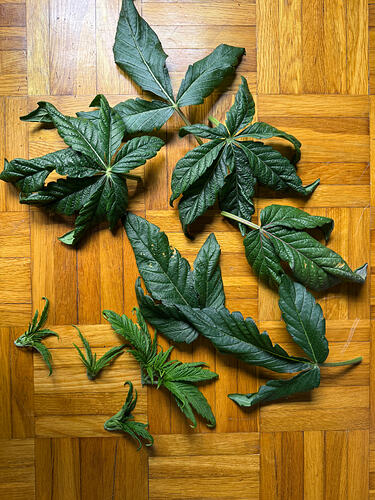 Growreport Bild 6