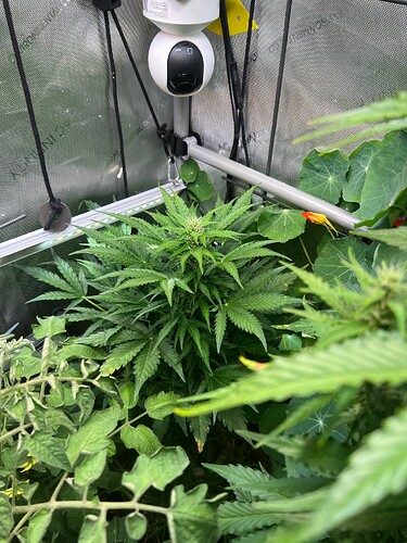 Growreport Bild 3
