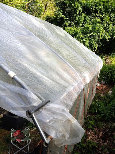 Ein Gewächshaus mit transparenter Folie im Garten, daneben ein kleiner Klapphocker mit Arbeitshandschuhen.
