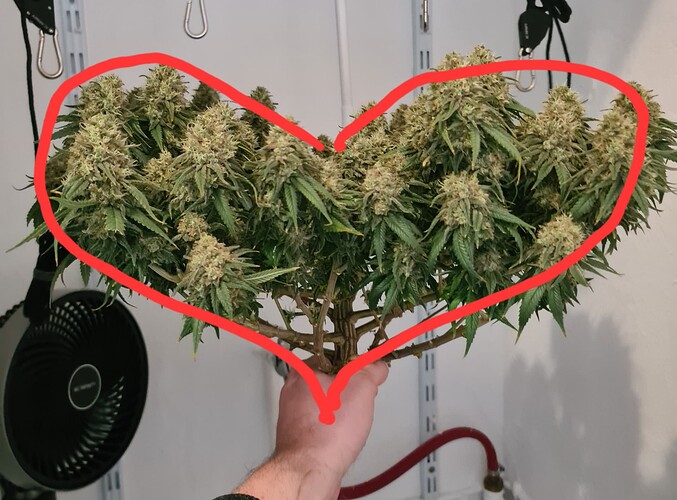Growreport Bild 12