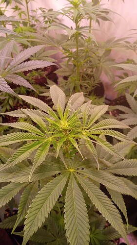 Growreport Bild 13