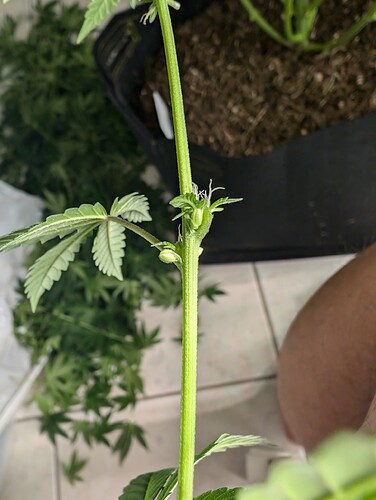 Growreport Bild 6