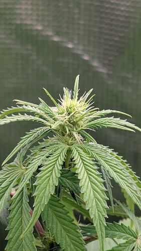 Growreport Bild 12