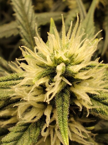 Growreport Bild 17
