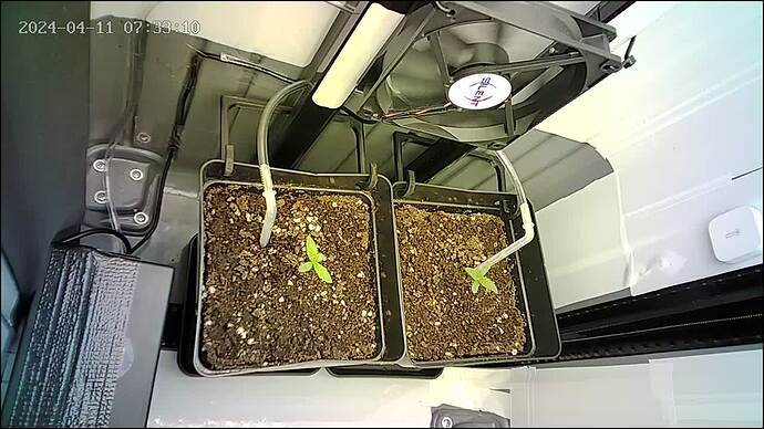 Growreport Bild 14