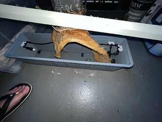 Growreport Bild 1