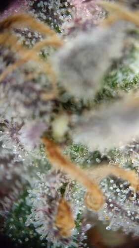 WhatsApp Bild 2024-06-12 um 17.11.42_5f0faa66