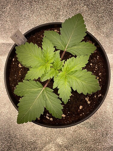 Growreport Bild 18