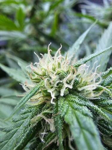 Growreport Bild 21
