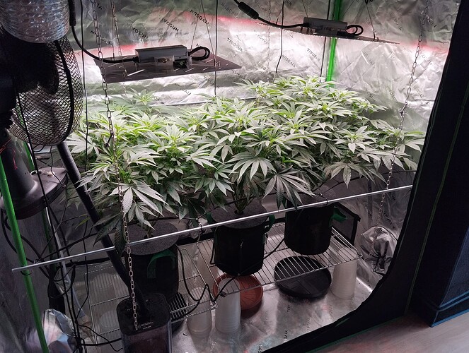 Growreport Bild 6