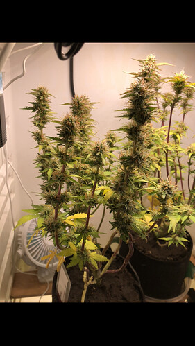 Growreport Bild 7